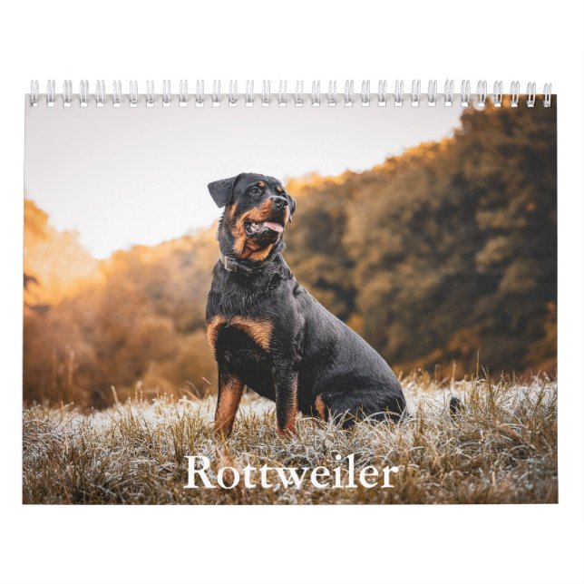 Rottweiler Calendar Kalender (Omslag)