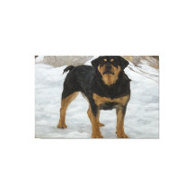 Rottweiler Canvastryck