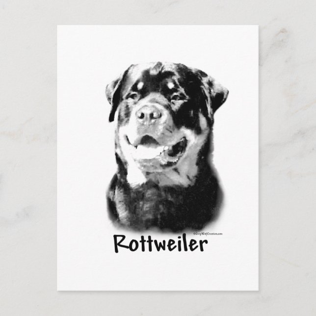 Rottweiler Charcol Vykort (Framsida)