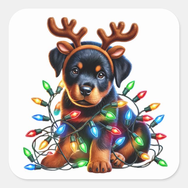 Rottweiler Cheer, Redot! Fyrkantigt Klistermärke (Framsida)