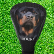 Rottweiler Dark Grey