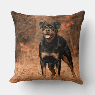 Rottweiler Dekorativ kudde