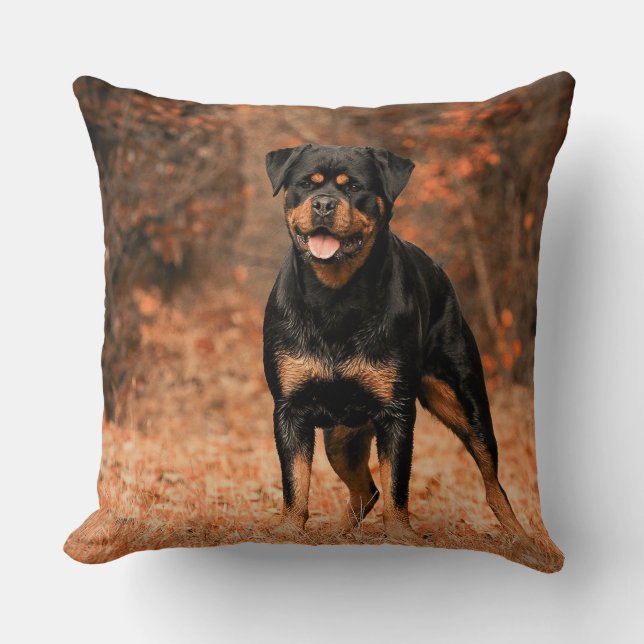 Rottweiler Dekorativ kudde (Framsida)