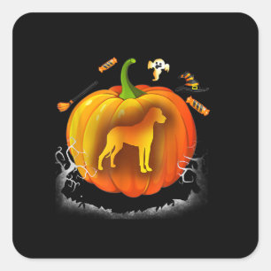 rottweiler dog pumpkin costume halloween fyrkantigt klistermärke