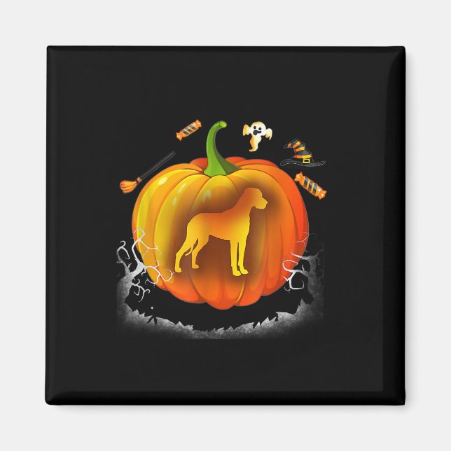 rottweiler dog pumpkin costume halloween magnet (Framsidan)