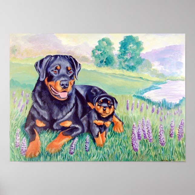 Rottweiler Dog Wall Poster Print (Framsidan)
