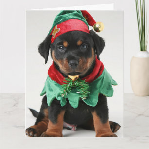 Rottweiler Elf Puppy-julkort Kort
