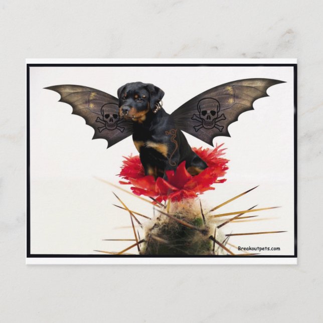 Rottweiler Fairy Hund Postcard Vykort (Framsida)