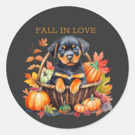 Rottweiler Fall i Kärlek Runt Klistermärke