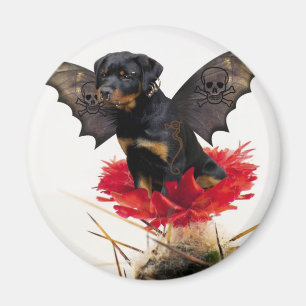 Rottweiler felik hundmagnet magnet