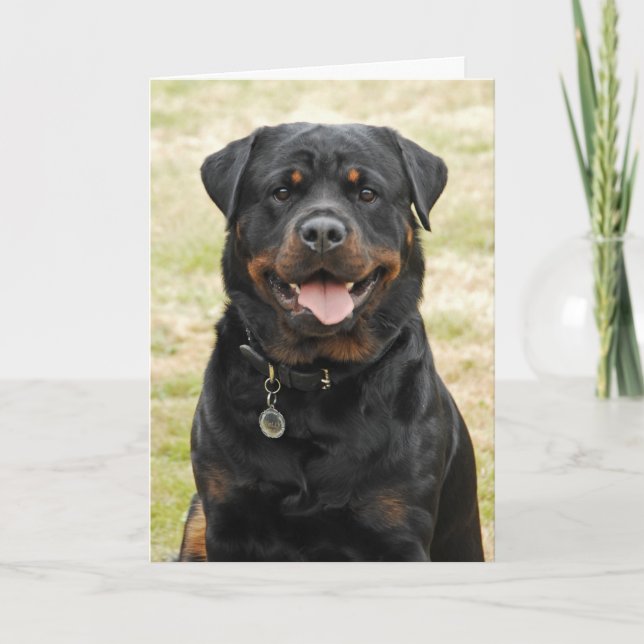 Rottweiler födelsedagkort kort (Framsida)