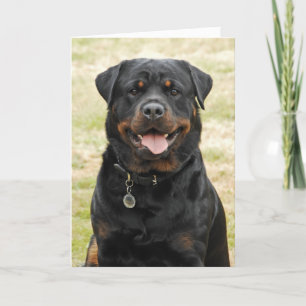 Rottweiler födelsedagkort kort