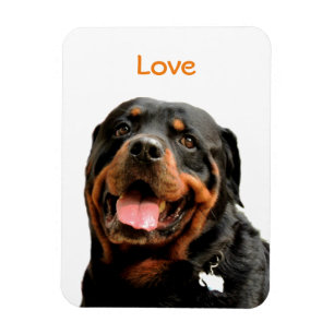 Rottweiler fotomagnet magnet
