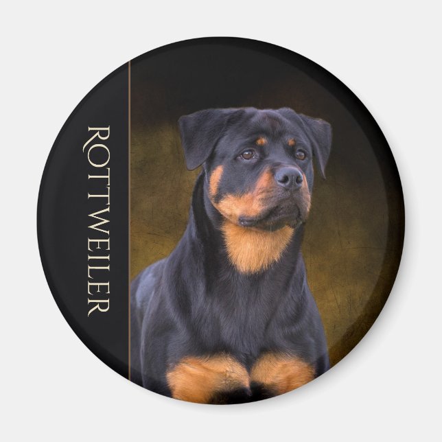 Rottweiler Fridge Magnet (Framsidan)