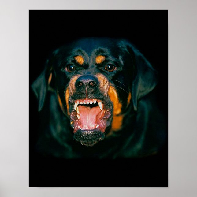 Rottweiler funny poster (Framsidan)