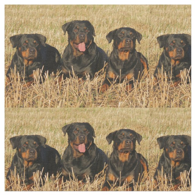 rottweiler-group.png tyg (Närbild)