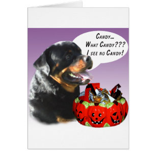 Rottweiler Halloween Candy Hälsningskort