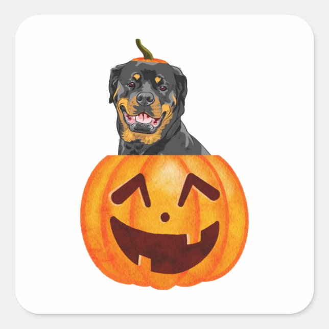Rottweiler Halloween Fyrkantigt Klistermärke (Framsida)