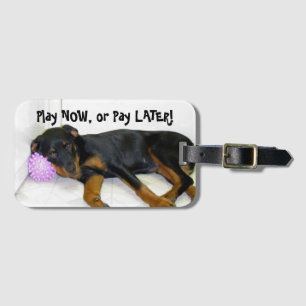 Rottweiler Heidi Play Now, Betala senare Luggage T Bagagebricka
