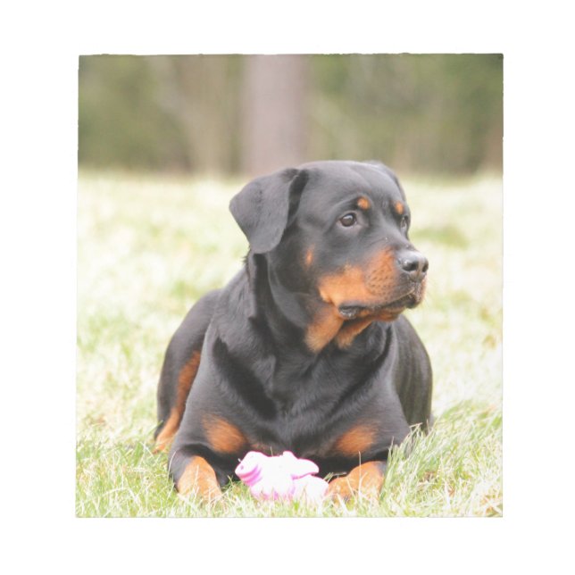 Rottweiler Hund Anteckningsblock (Framsida)