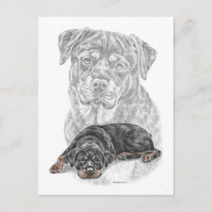 Rottweiler Hund Art Vykort
