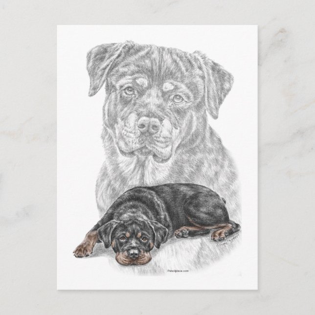 Rottweiler Hund Art Vykort (Framsida)