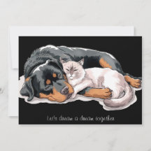 Rottweiler Hund Cat Dream Cuddle Helgdag Card