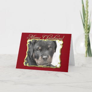 Rottweiler hund helgkort