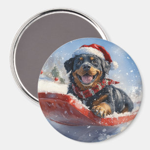 Rottweiler Hund i Släde Låt det Snöa Jul Magnet