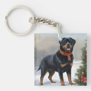 Rottweiler hund i snö julen