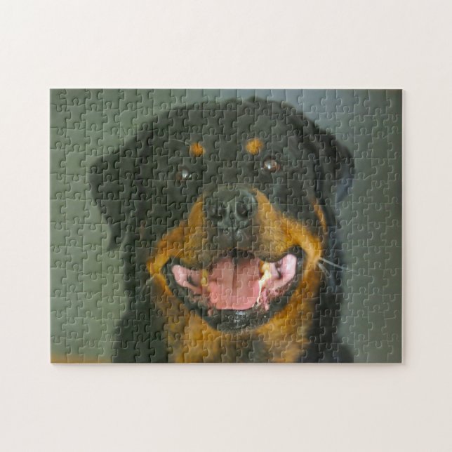Rottweiler Hund Jigsaws. Pussel (Horisontell)