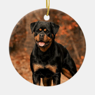 Rottweiler Hund Julgransprydnad Keramik