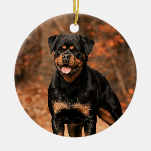 Rottweiler Hund Julgransprydnad Keramik (Framsidan)