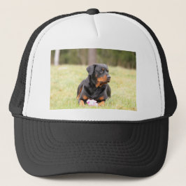 Rottweiler Hund Keps