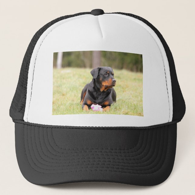 Rottweiler Hund Keps (Framsida)