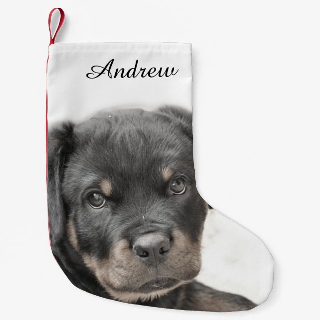 Rottweiler hund liten julstrumpa (Framsidan)