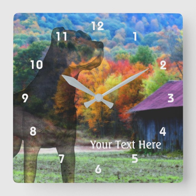 Rottweiler-Hund och gammal tobak-barn Fyrkantig Klocka (Framsida)