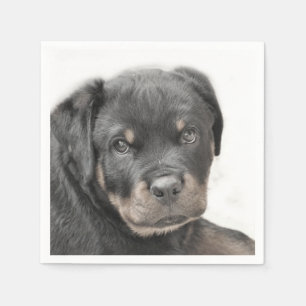 Rottweiler hund pappersservett
