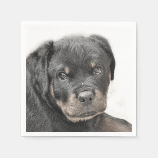 Rottweiler hund pappersservett (Framsidan)