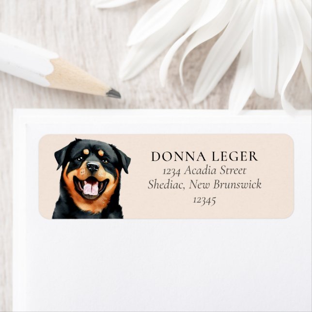 Rottweiler Hund Personlig Adress Returadress Etikett (Insitu)