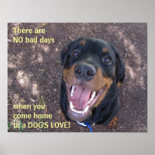Rottweiler Hund Poster Kärlek