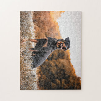 Rottweiler hund pussel