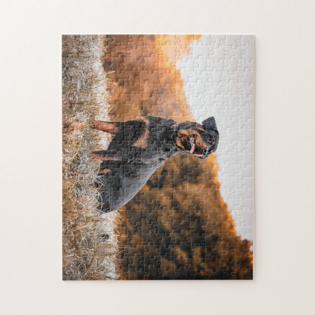 Rottweiler hund pussel (Vertikal)