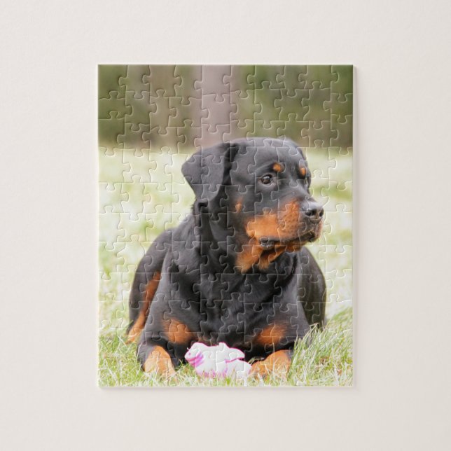 Rottweiler Hund Pussel (Vertikal)