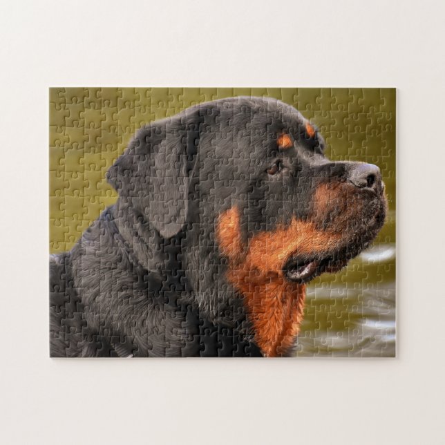 Rottweiler Hund Pussel (Horisontell)