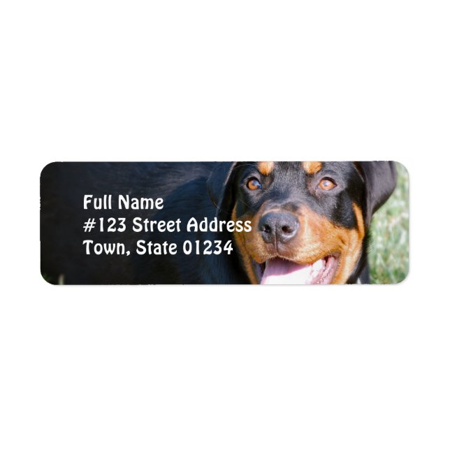 Rottweiler-Hund returadressetikett Returadress Etikett (Framsidan)