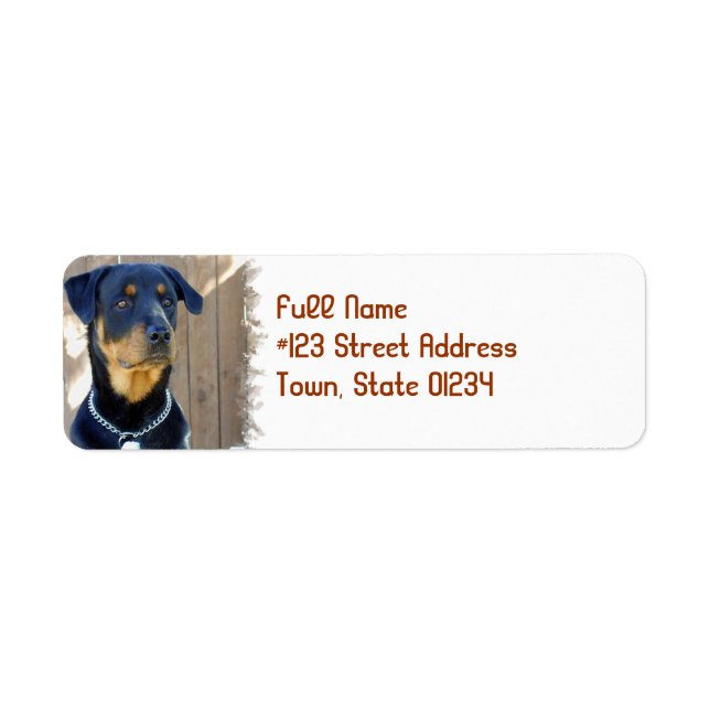 Rottweiler-Hund returadressetikett Returadress Etikett (Framsidan)