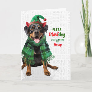Rottweiler Hund Roliga Loppor Navidog med Namn Helgkort