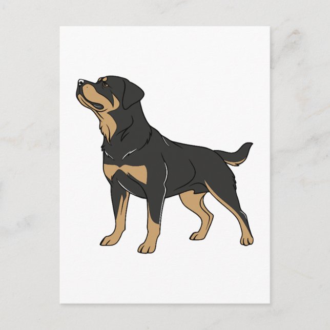 Rottweiler Hund, Rottweiler Hund Stående Vykort (Framsida)