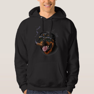 Rottweiler Hund som bär Aviator Solglasögon med Ci Hoodie